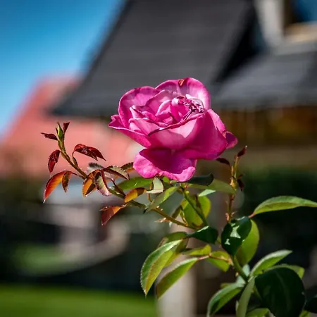 Oda ve Kahvaltı Podhalanski Dworek Z Jacuzzi Leśnica