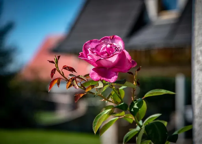 Nocleg ze śniadaniem Podhalanski Dworek Leśnica